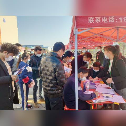 通城县最新招聘信息公告，职位更新速递