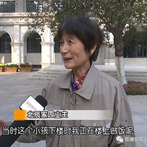 安阳爆炸事故最新消息，伤亡、细节及后续处理进展