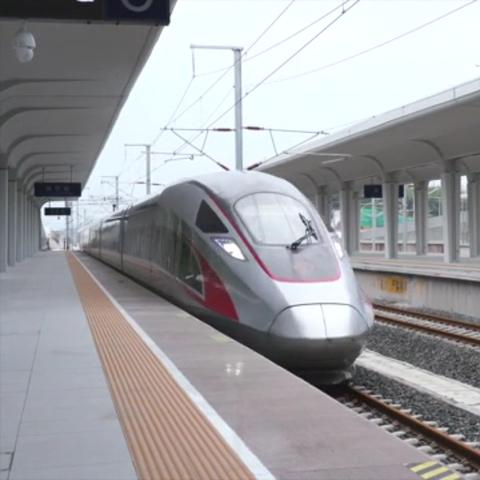 报告概览